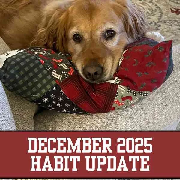 2025 Quilting Habits: December Update