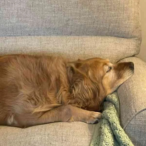 Daisy January Goal Blog Gallery.jpg