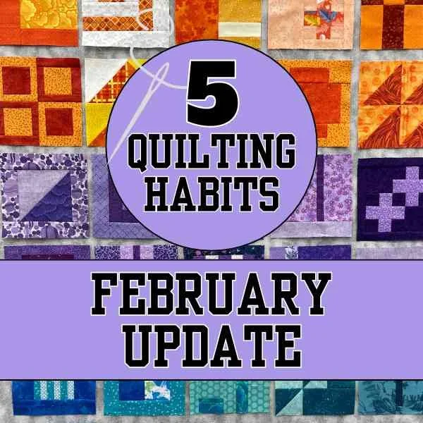 February Quilting Goals Update