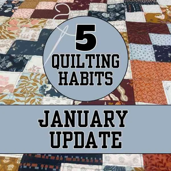 January Quilting Goals Update