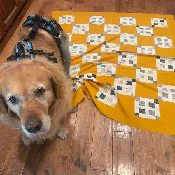 Habit Blog March 2026 Update Daisy Supervisor.jpg