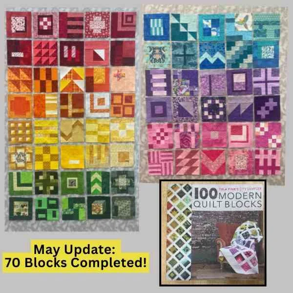 This shows 70 blocks that I made from the Tula Pink book 100 Modern Quilt Blocks.
