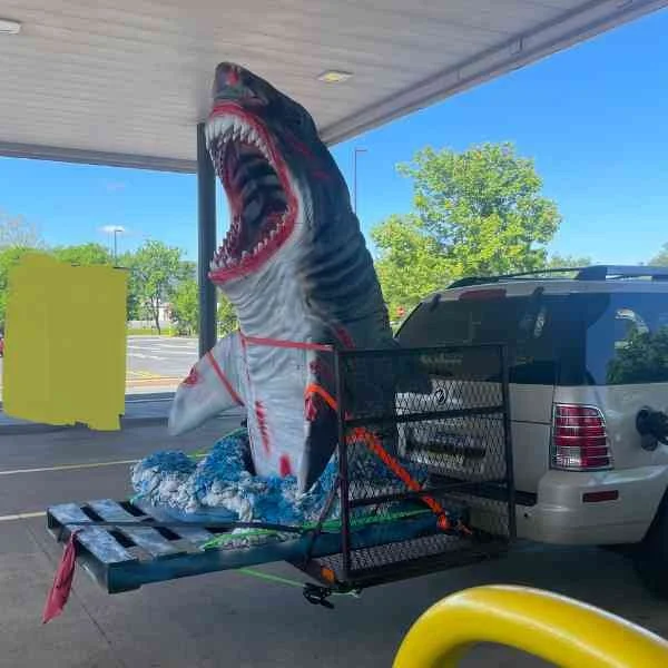 Fake shark on the back of a car