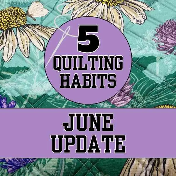 June Quilting Goals Update