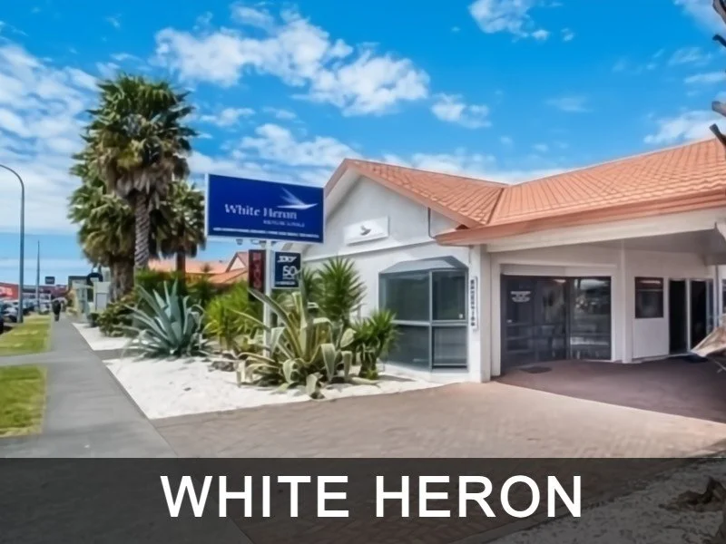 Square 4 White heron.jpg