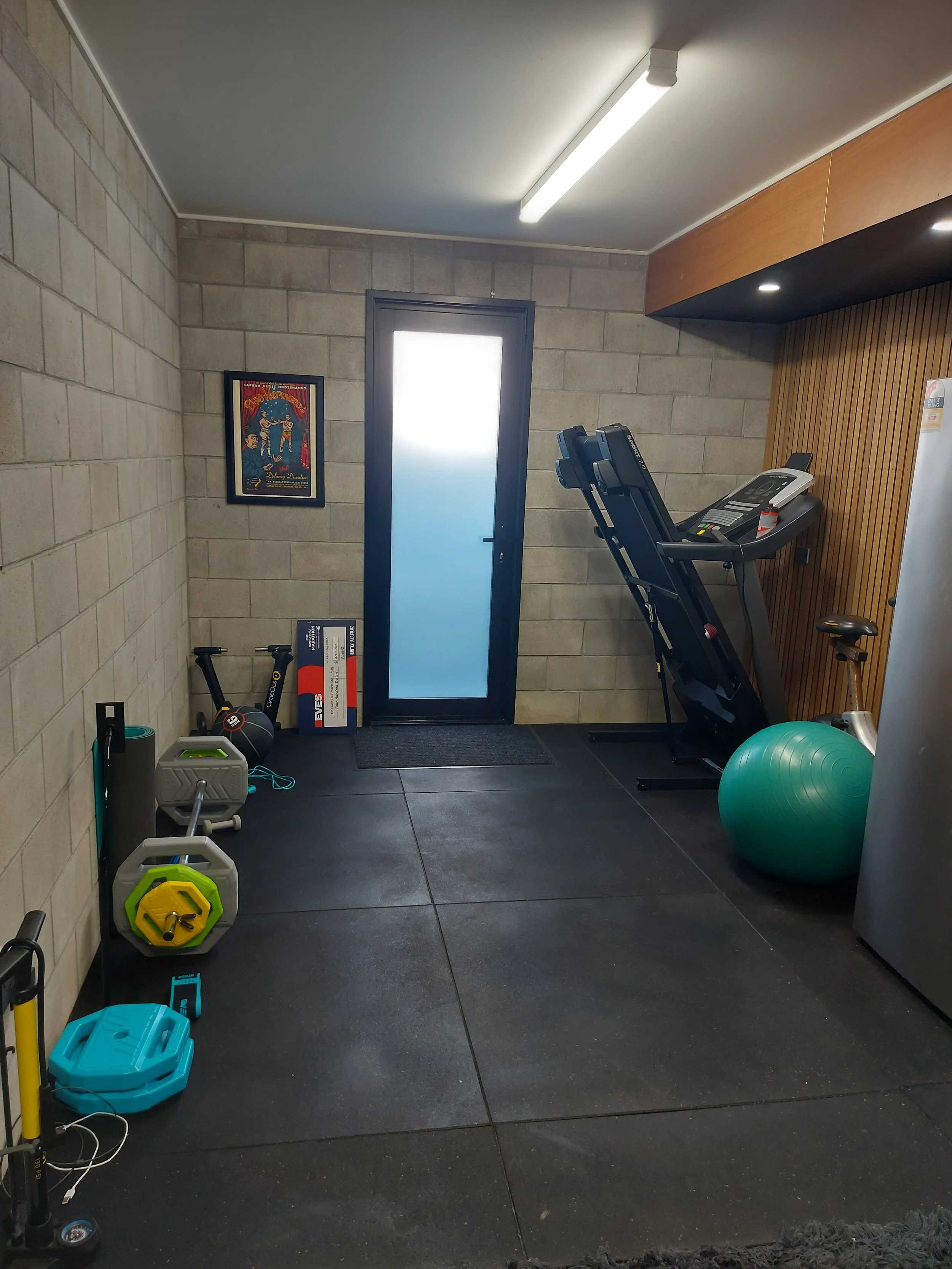Home gym with exercise equipment including a treadmill, stability ball, dumbbells, and various workout tools, with a framed poster on the wall and a door with frosted glass.