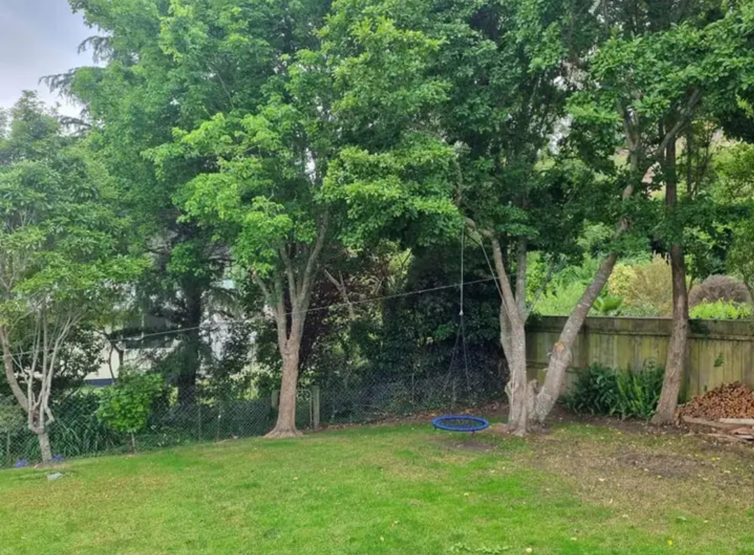 Backyard with a green lawn, trees, a wooden fence, a chain-link fence, and a blue circular swing hanging from a tree.