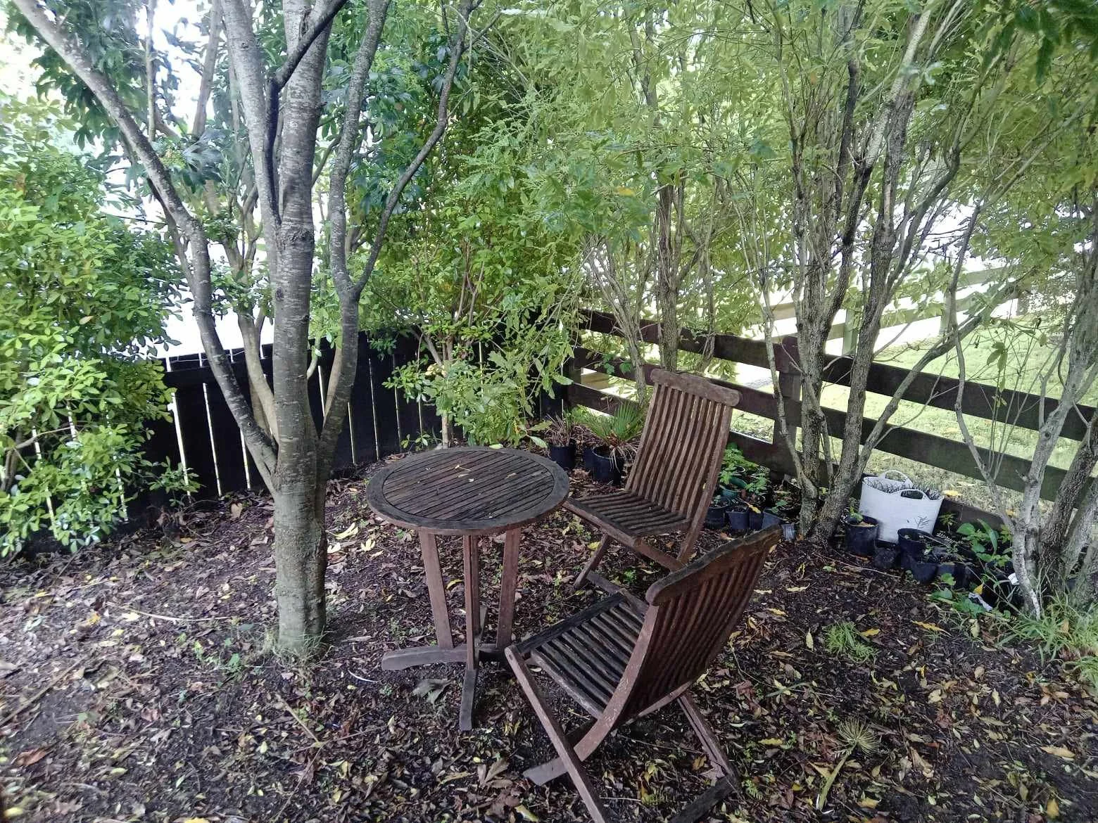 	
Comfortable Rental House for Rhythm & Vines R&V Gisborne New Zealand.