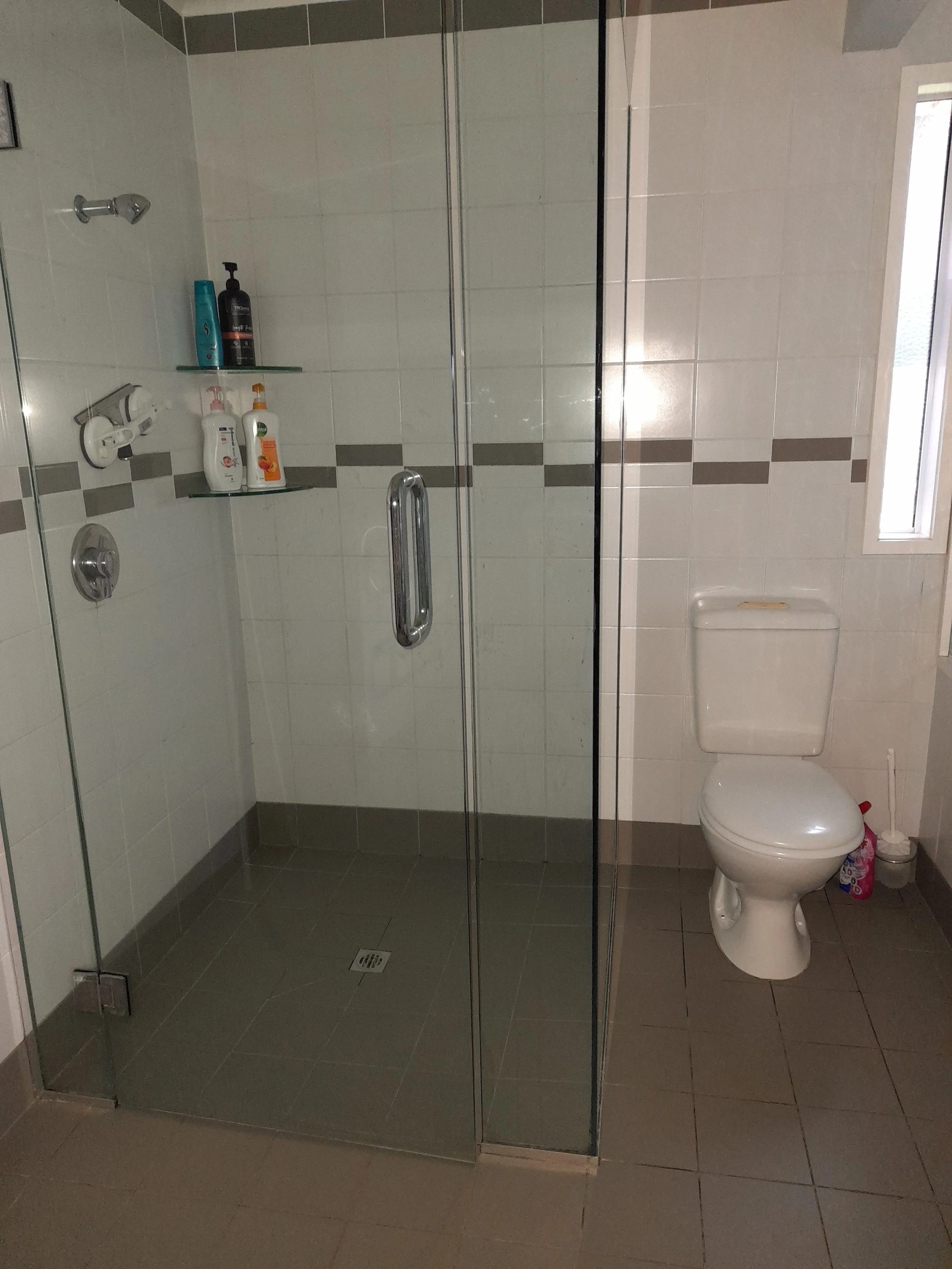 Bathroom with a glass shower door, shower shelf with various bottles, a toilet, and a small window on the wall.