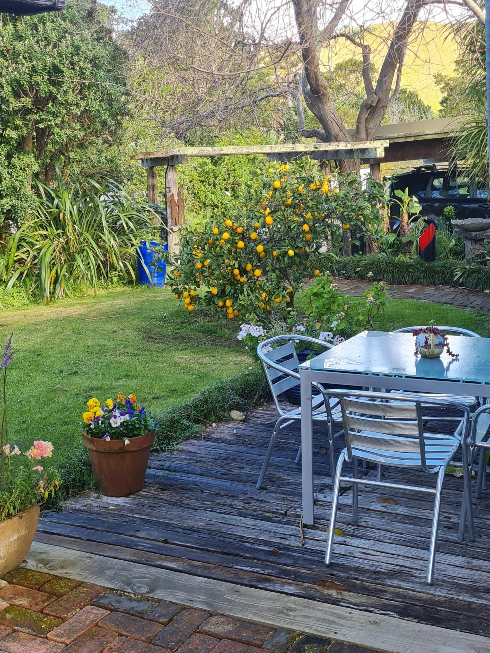 Comfortable Rental House for Rhythm & Vines R&V Gisborne New Zealand.