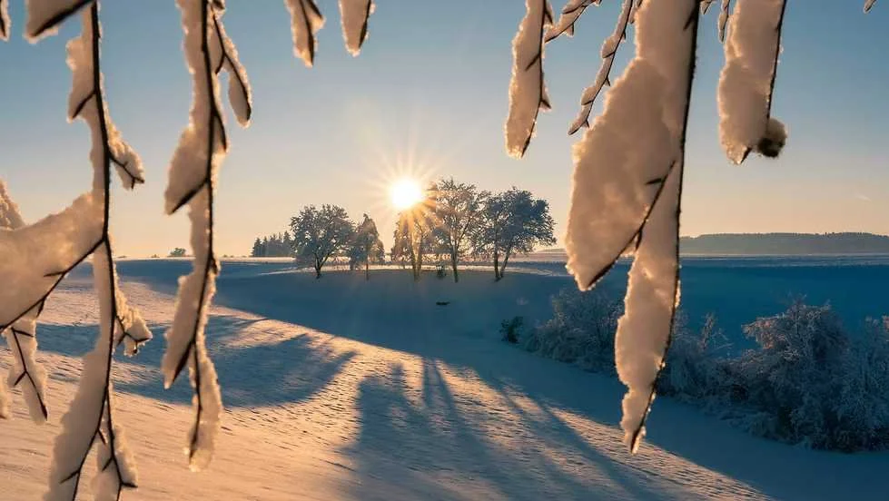 Messages for the Year Ahead : 2026