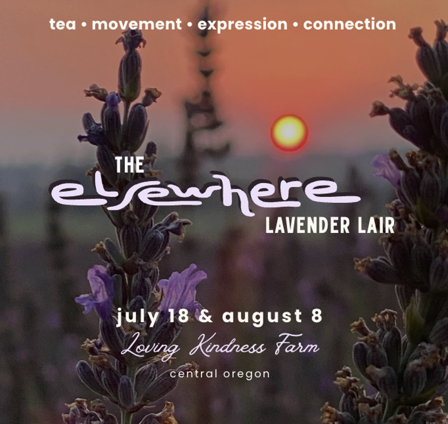 Lavender Lair