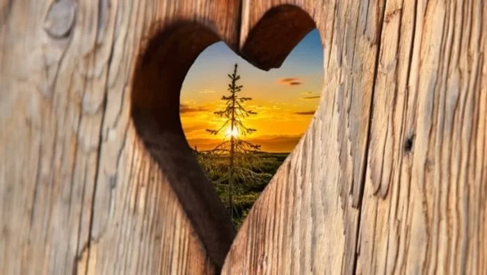 A cut out wooden heart with a lone pine tree illuminated by a red glowing sky
