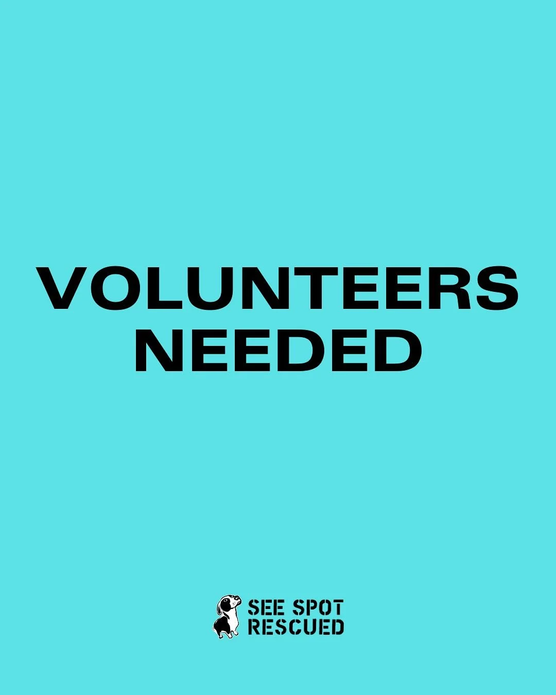 Ready to unleash your skills? We’re looking for a motivated Fundraiser Volunteer to help us drive our mission forward! If you’re organized, love dogs, and are passionate about making a difference, apply now! 
π§ Email woof@seespotrescued