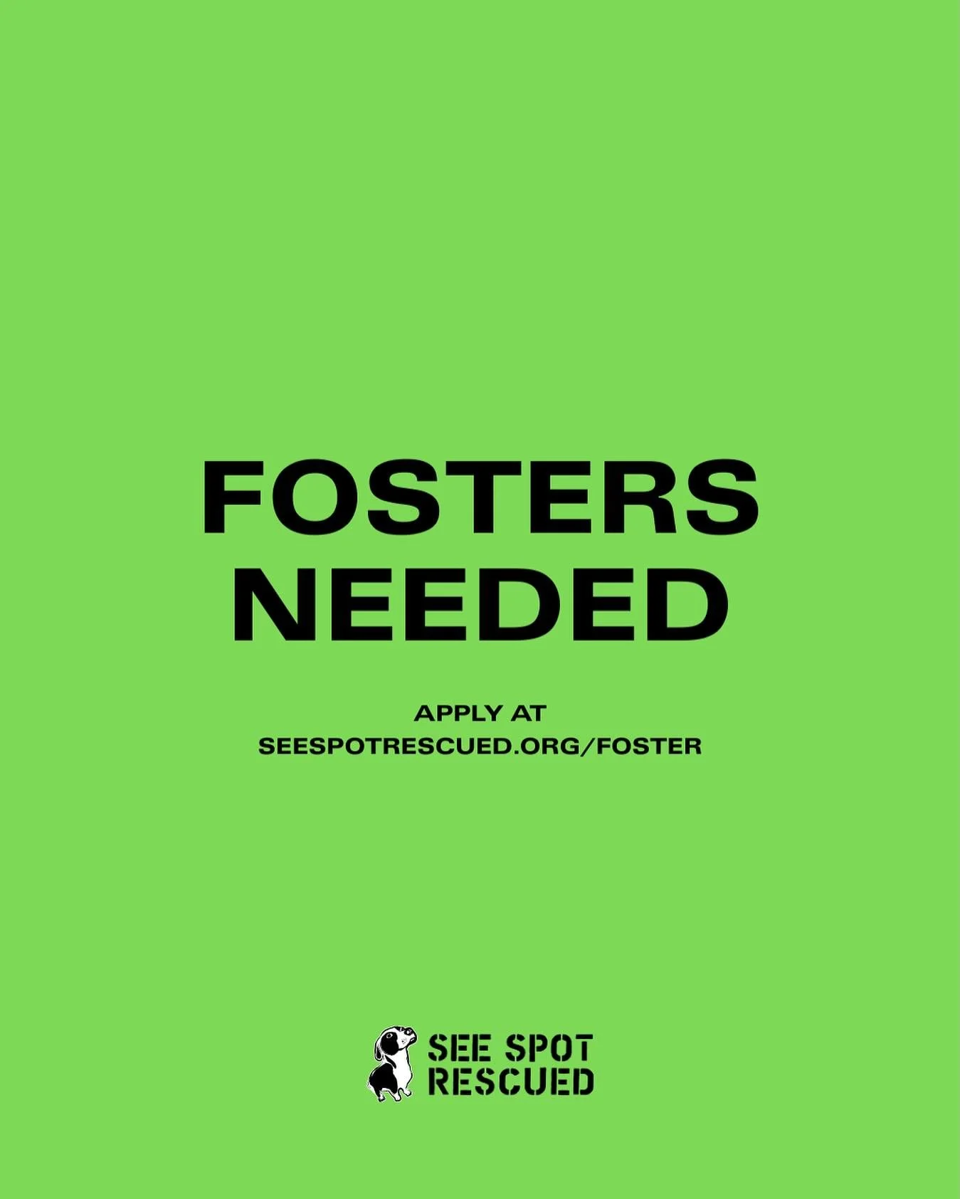 Did you know that opening your home to a foster dog help us save more lives and helps pave the road to forever homes βΊοΈπ
 
Whether you’re looking for a running buddy, a Netflix & chill buddy, or a no strings attached cuffing season buddy (