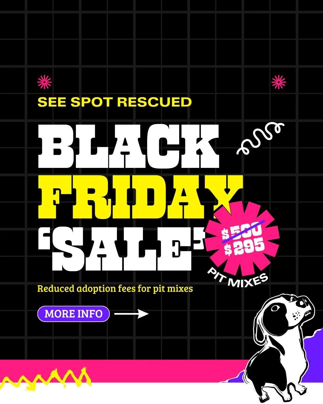Get ready for an adorable Black Friday like no other 🐾 

This year, skip the crowds and discover unconditional love instead 🤗

We're shining a spotlight on our amazing pittie mix pups with a special DISCOUNTED adoption fee of $295, but hurry, this 
