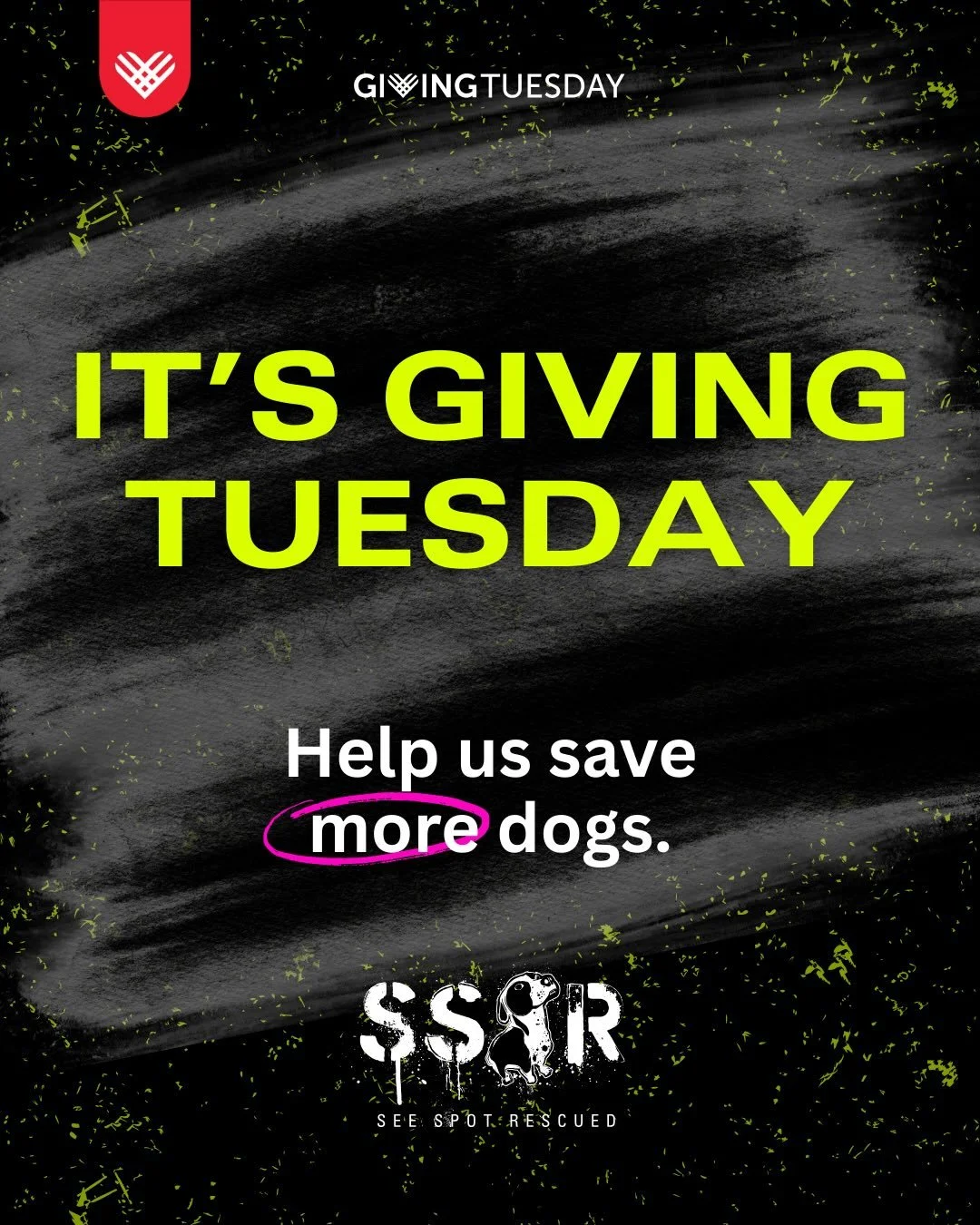On this @givingtuesday, help us save more dogs by making a tax deductible donation at seespotrescued.org/donate