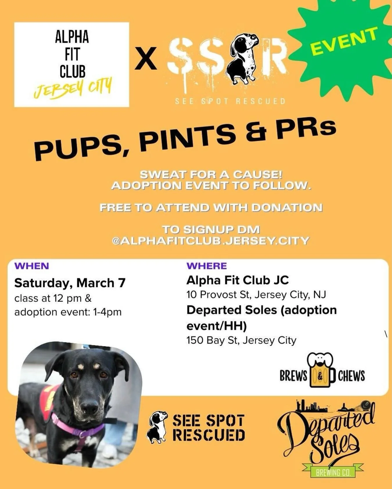 Join us for a complimentary class at @alphafitclub.jerseycity (with donations welcomed in support of SSR&rsquo;s mission to finding loving homes for all our dogs)

📅 Saturday, 3/7
⏰ 12pm-1pm at @alphafitclub.jerseycity led by Jules 
⏰ 1-4pm Meet som