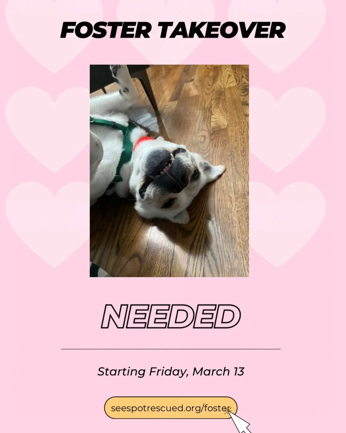 Foster takeover needed for our sweet meatball Corto starting Friday, 3/13. 

We&rsquo;d love to find her a foster home outside the city where it&rsquo;s a little quieter &amp; where she&rsquo;s the only doggo. Corto is house trained, crate trained &a