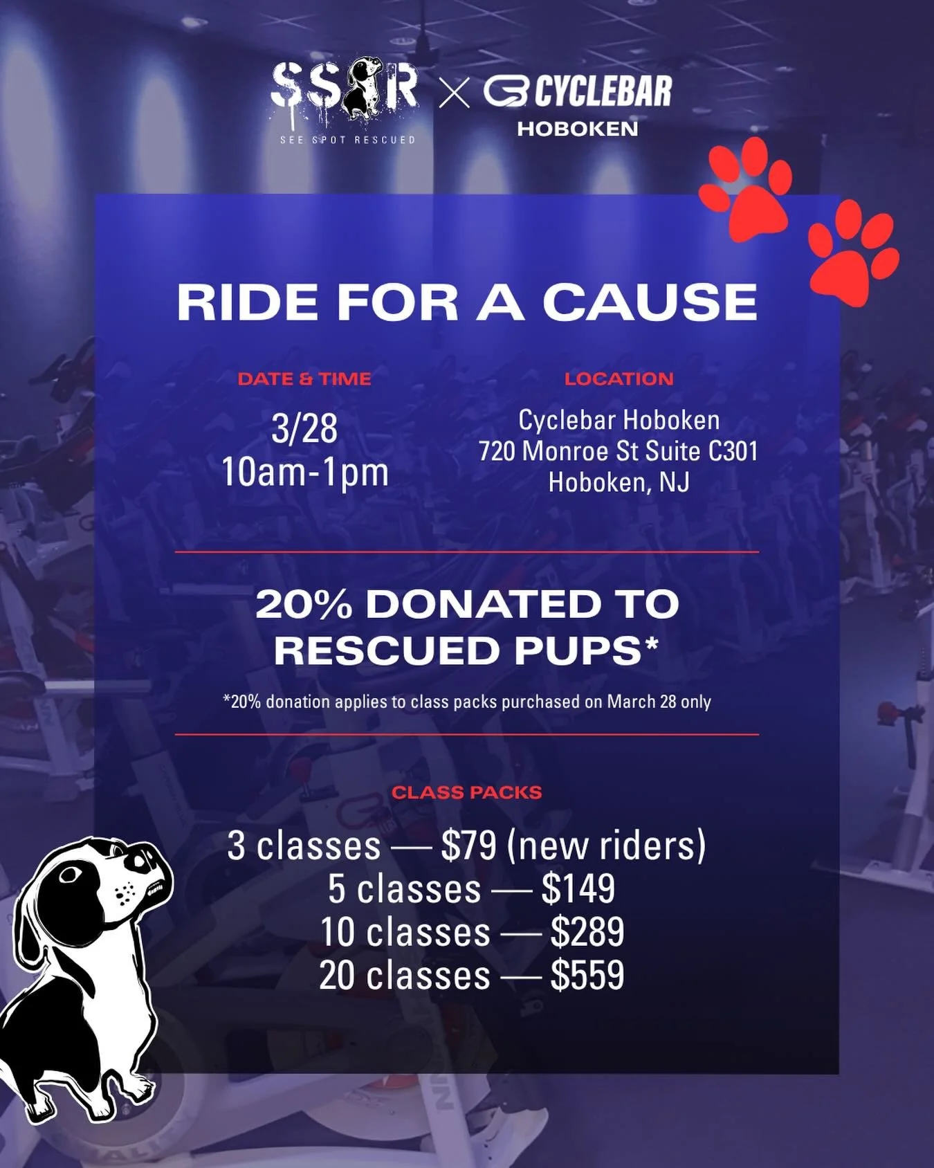 Join us at @cyclebarhoboken for a ride that gives back 🐾

We&rsquo;re partnering with CycleBar #hoboken for a special event benefiting See Spot Rescued. Ride, sweat, and support rescue pups looking for their forever homes.

🗓️ Saturday, March 28
 ⏰