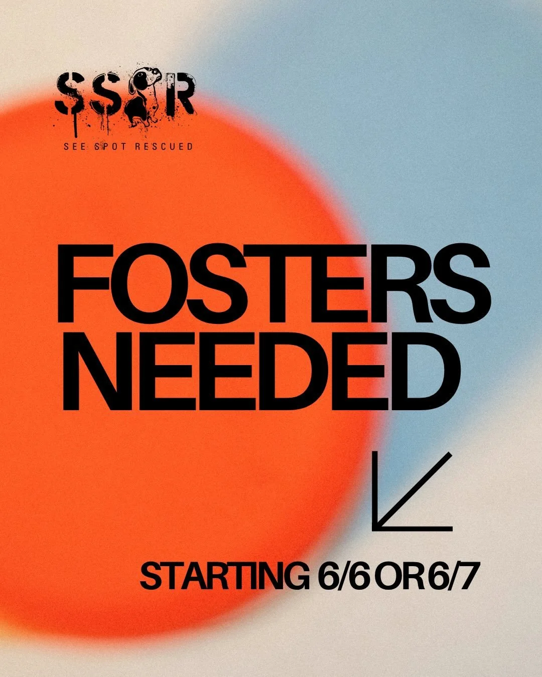 Fosters needed starting 6/6 or 6/7. PLEASE SHARE 🔄

Thank you to everyone that&rsquo;s reached out to foster the incoming crew, we&rsquo;re still looking for fosters for:
 
🤿 Goggle, Male, 6 months old, 20lbs
 
🧊 Cooler, Male, 7 months old, 25lbs
