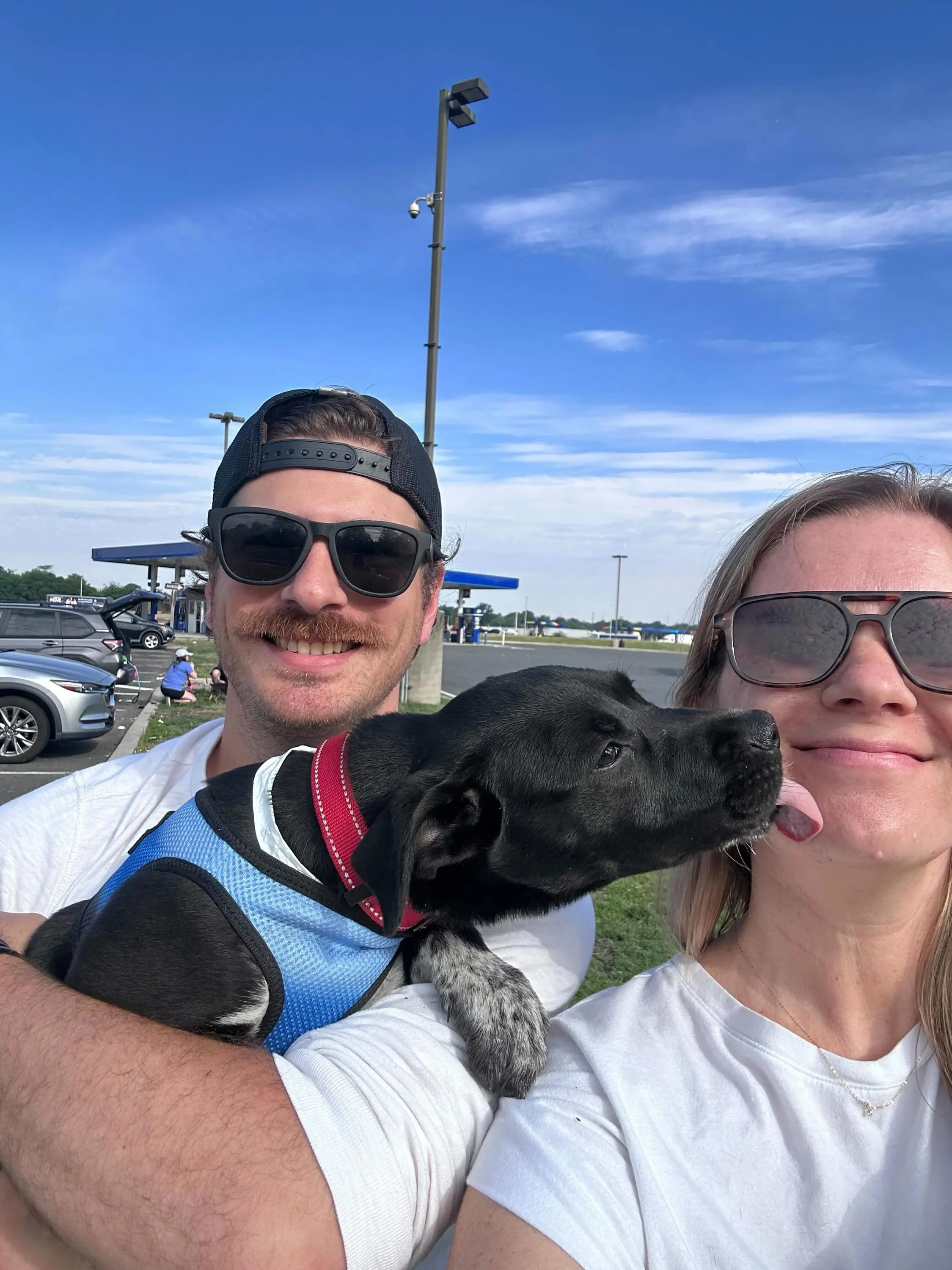 Saturday transport 1 of 2 is in the books, please welcome Pele, Floatie, Sunscreen, Towel, Goggle &amp; Cooler to New Jersey 🚌

Thank you to all our volunteers &amp; fosters who stepped up to make this happen 🐾

Transport 2 arrives later today and 