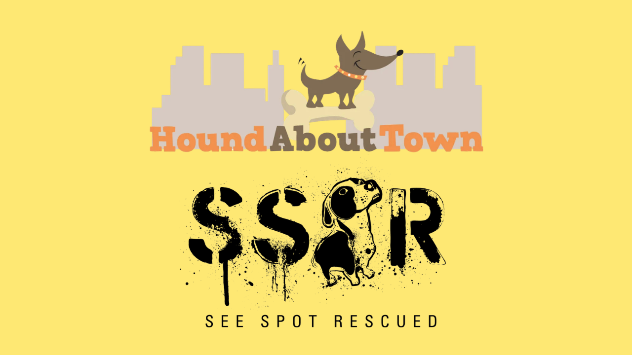 Find Your Fur-Ever Friend at Hound About Town
