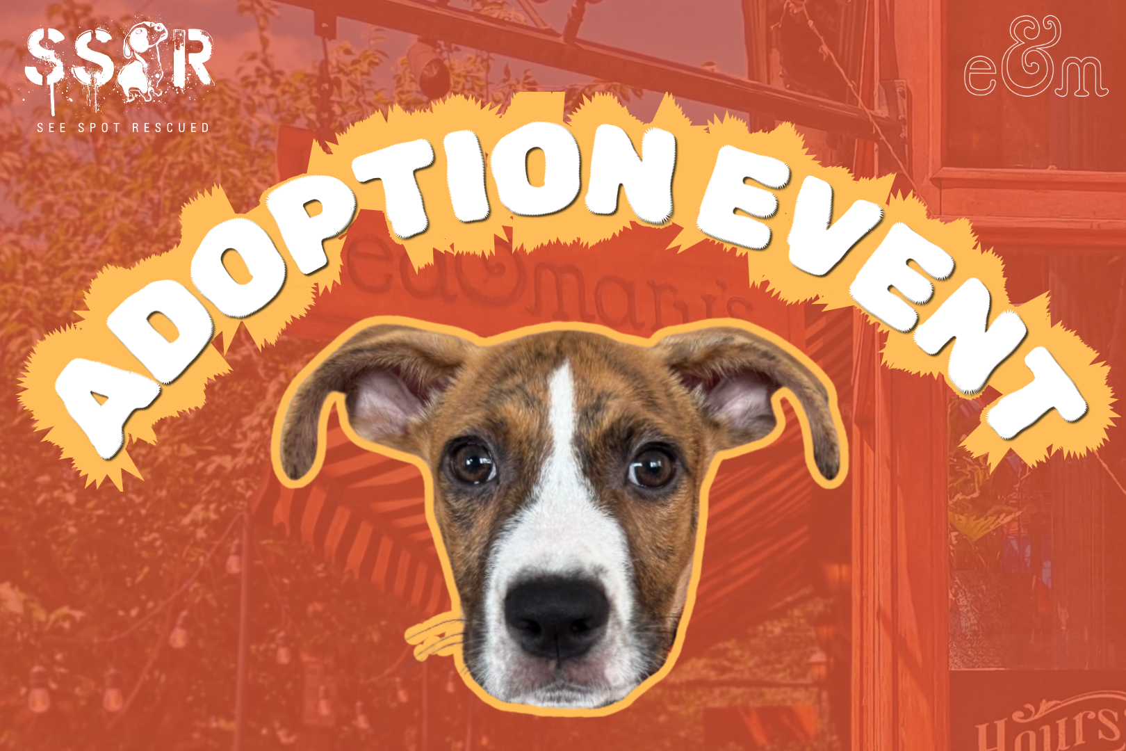 Pet Paw-traits and Puppy Pageant