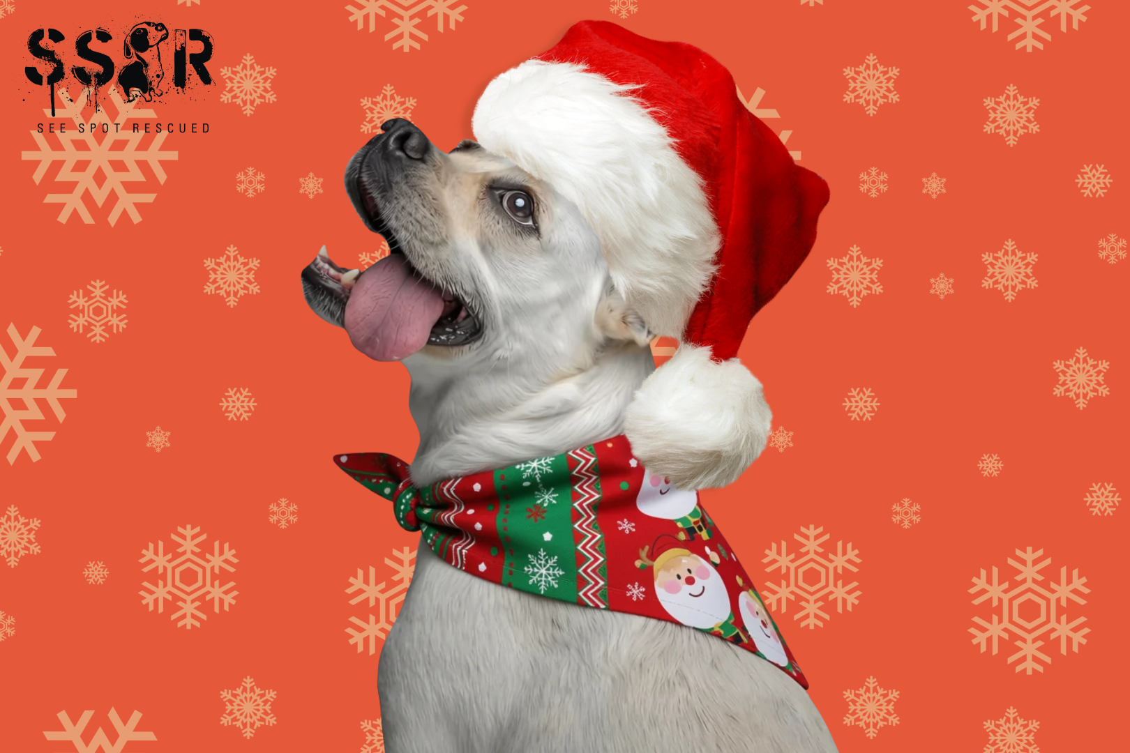 A rescue dog with white fur from See Spot Rescued happily looks at the camera in a Santa hat and holiday bandana in front of a snowflake background
