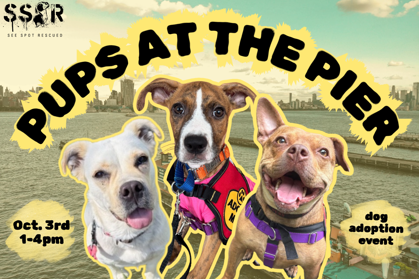 Images of three adorable, adoptable rescue dogs float in the center of a photo of Pier 13 in the Hudson River