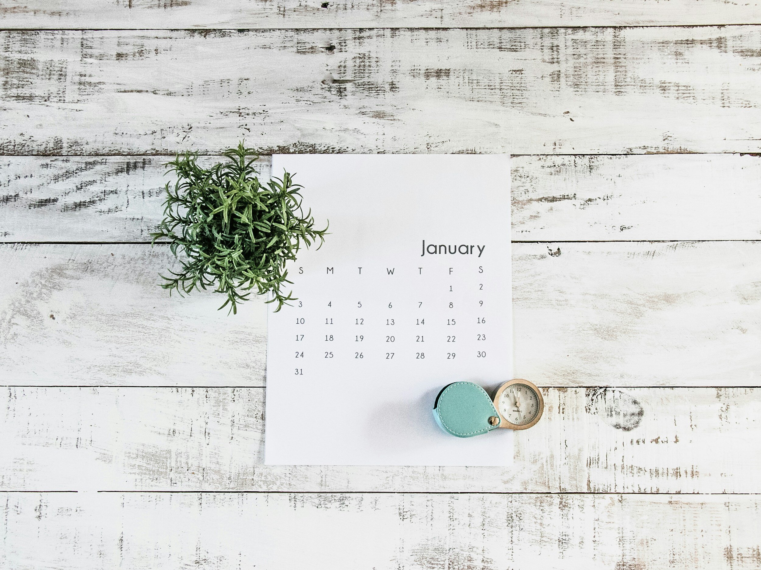 January 2024 Amazon Favorites