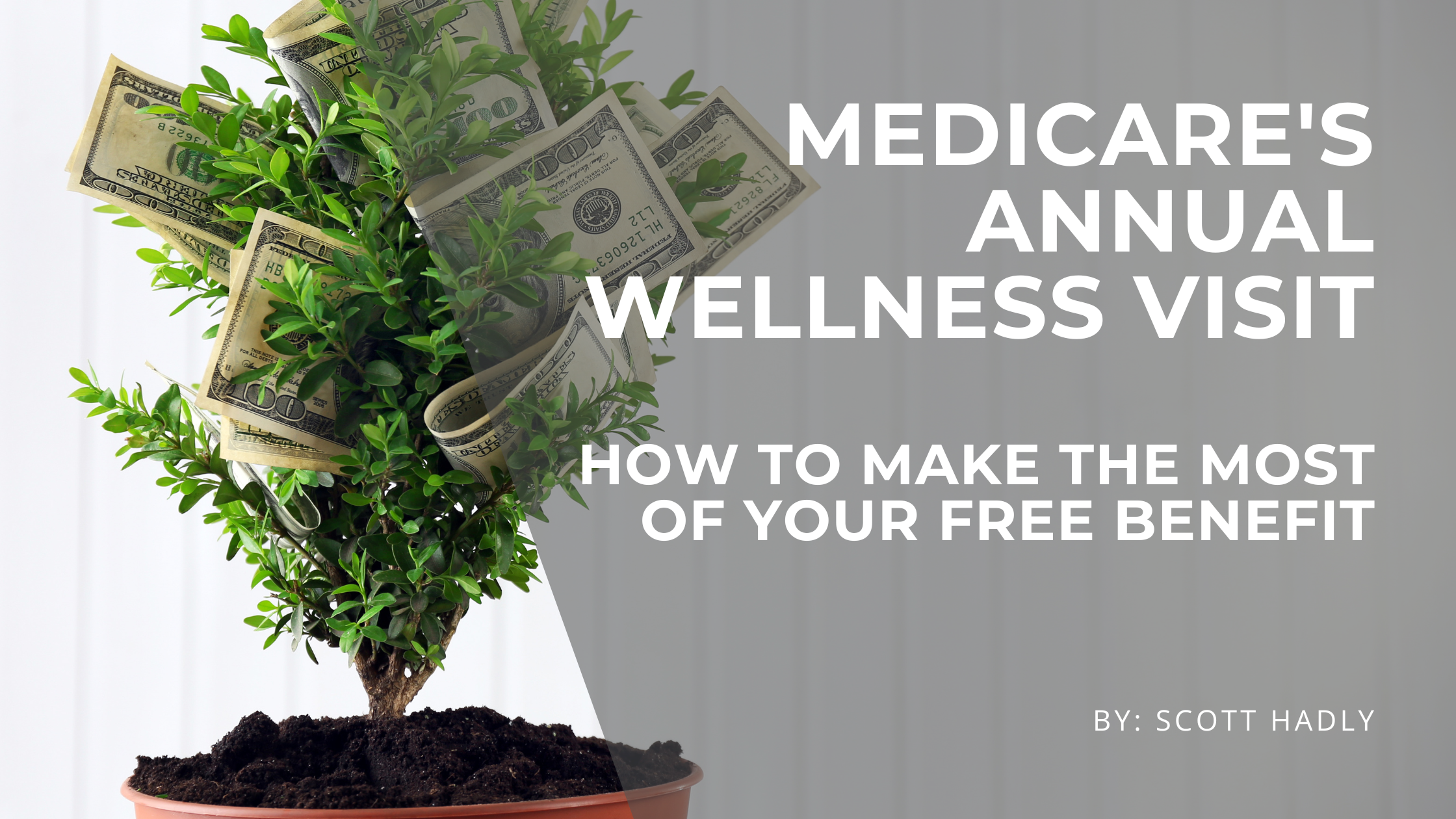 Medicare's Annual Wellness Visit