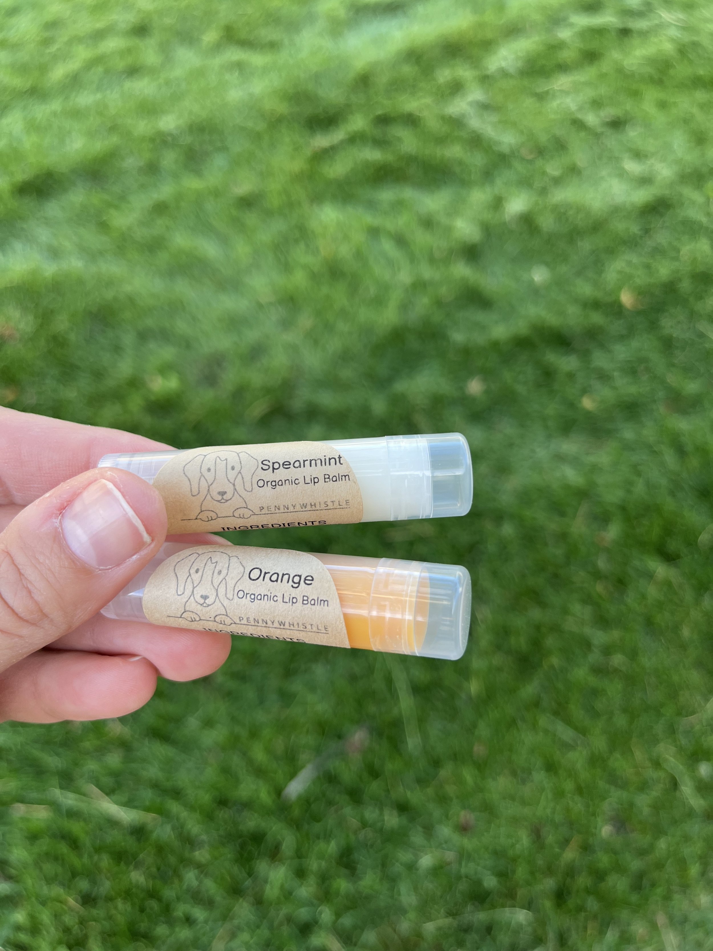 Organic Lip Balm