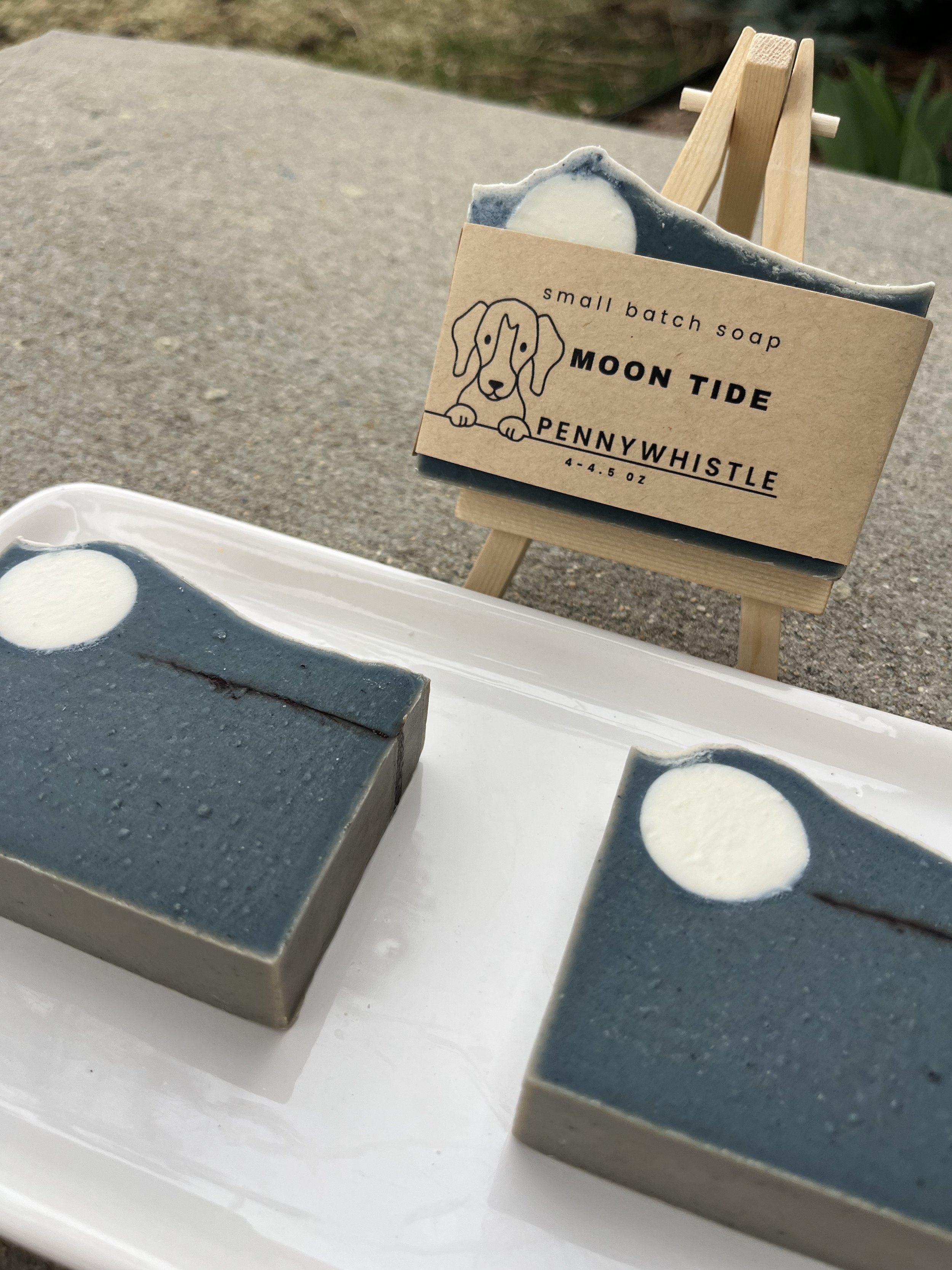 MoonTide1.jpg