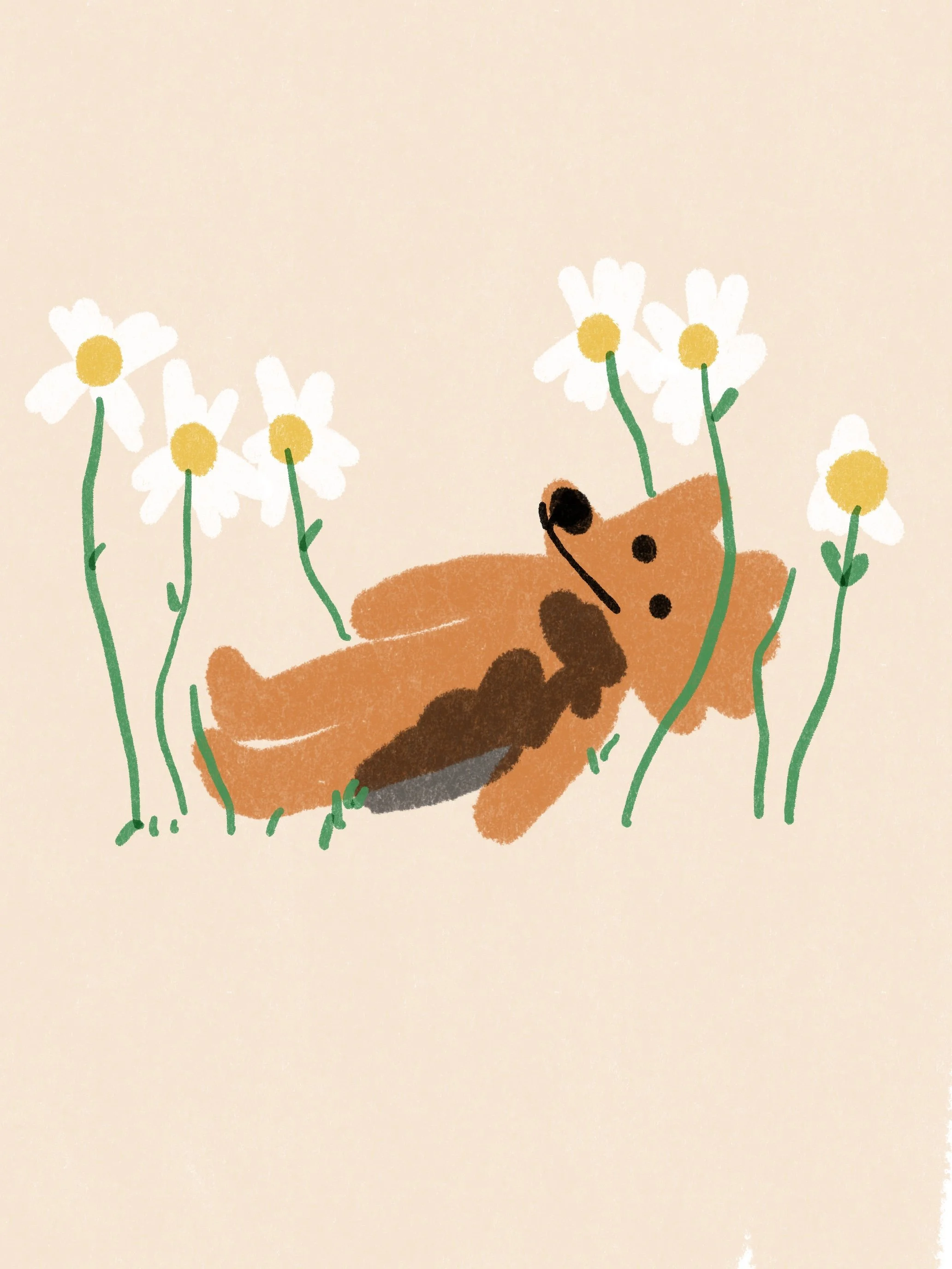 CUSTOM DIGITAL PET PORTRAIT (READY ON JUNE 15)