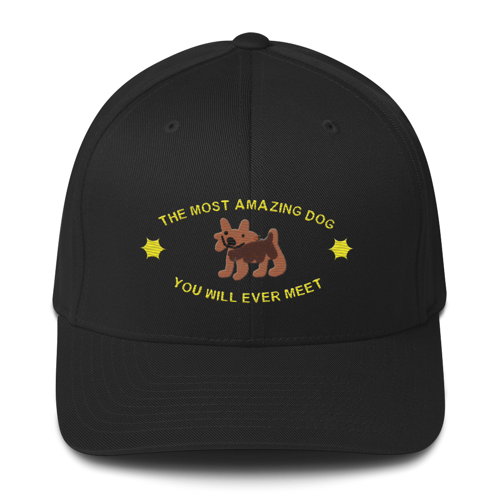 closed-back-structured-cap-black-front-6a7f66acc2c5d.png