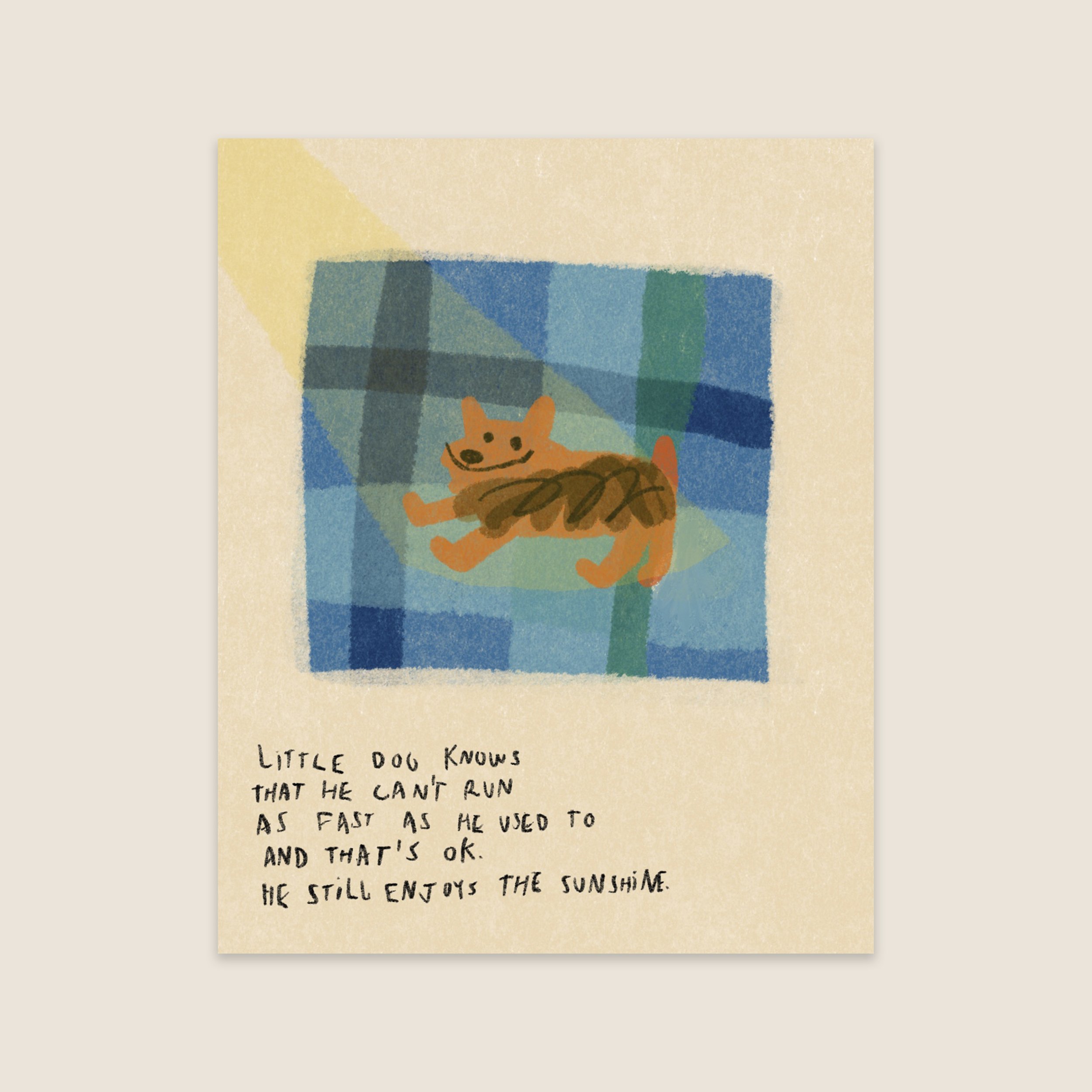 SENIOR LITTLE DOG