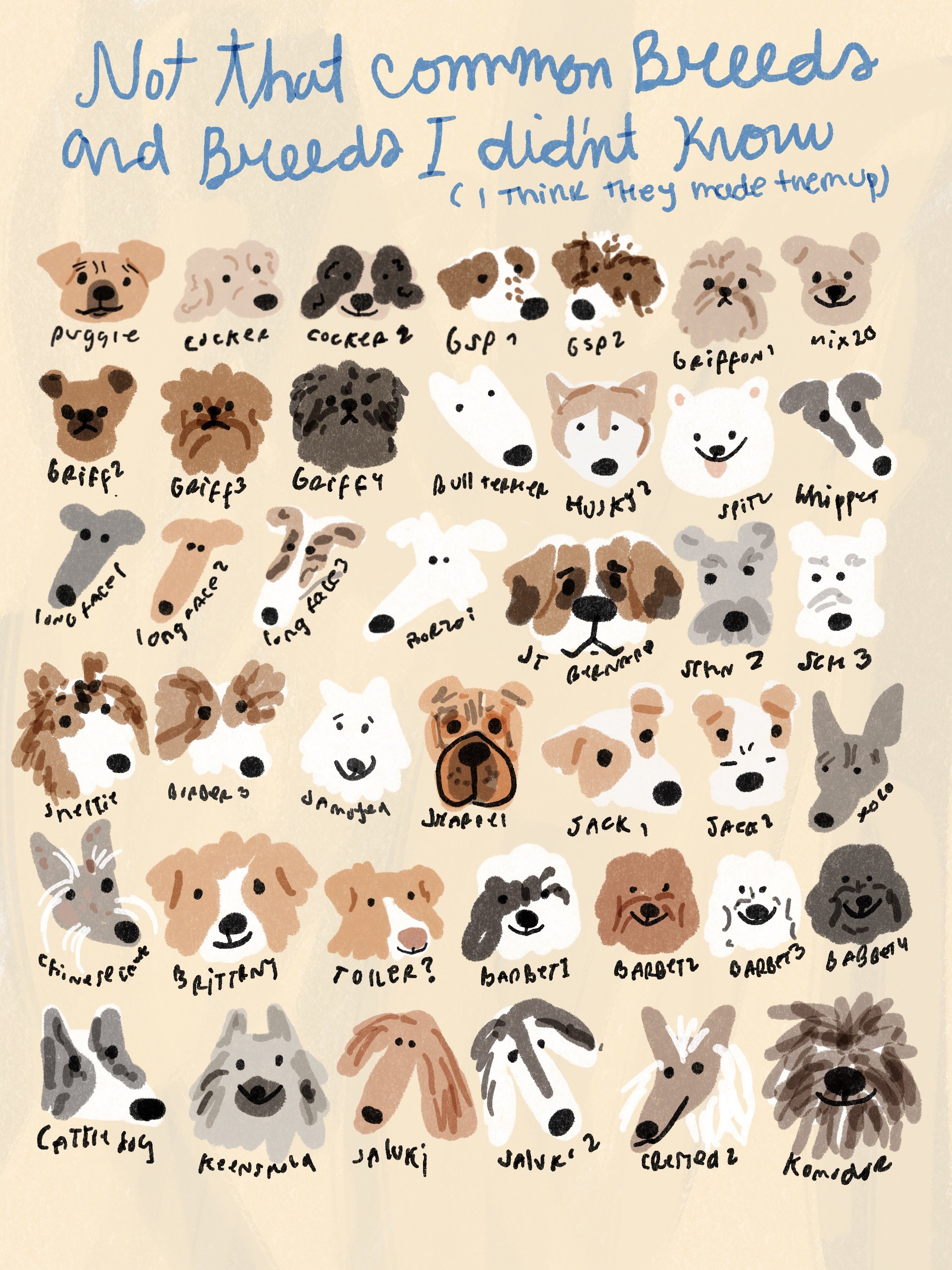 variations-.jpg