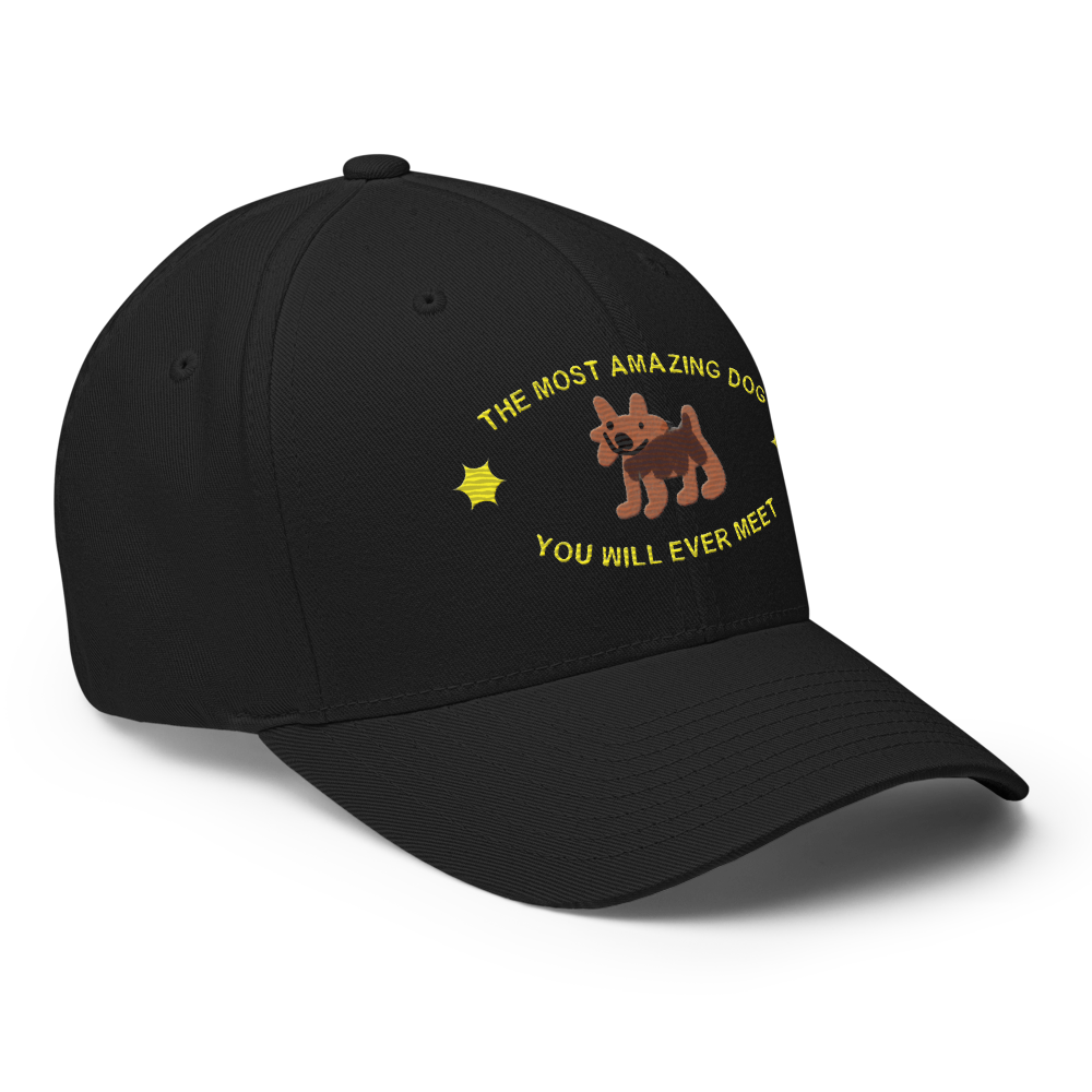 closed-back-structured-cap-black-right-front-6a7f66acc3590.png