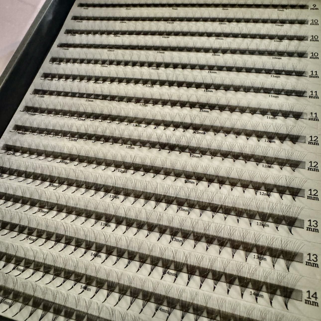 12D