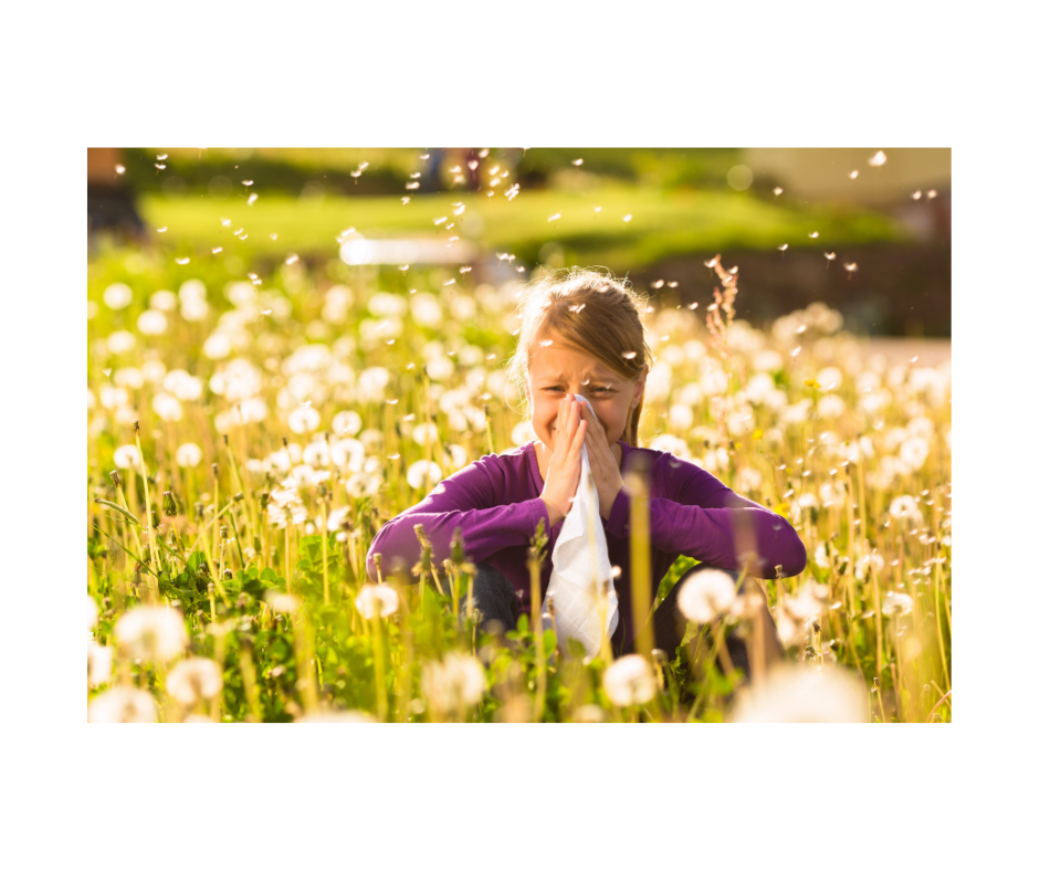 Homeopathy &amp; Hay Fever