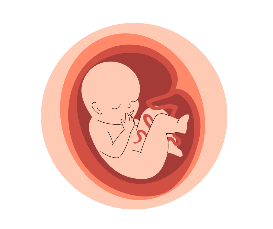 A Gentle Turn:&nbsp; Homeopathy for Breech Baby