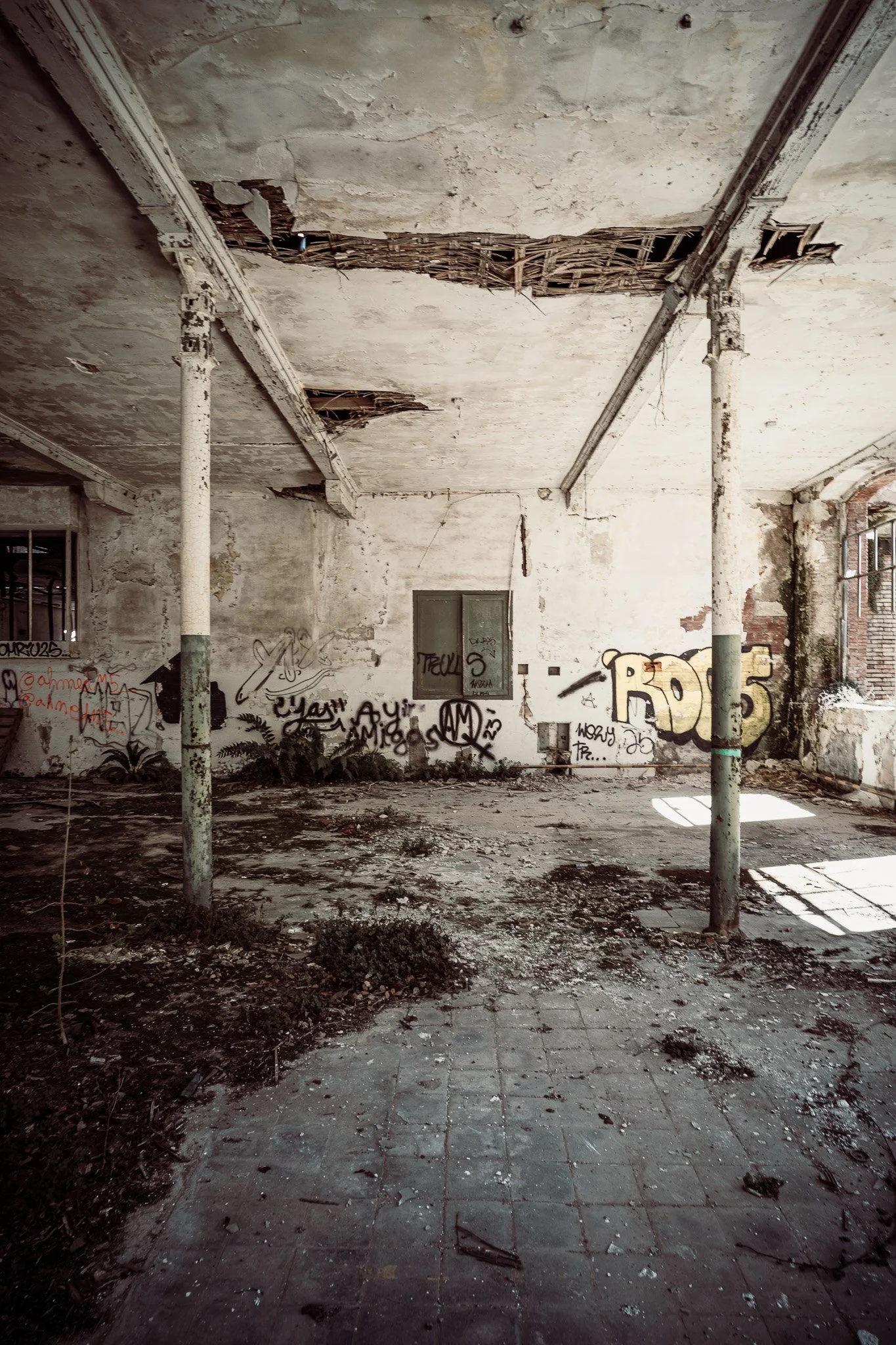 L1080426.jpg