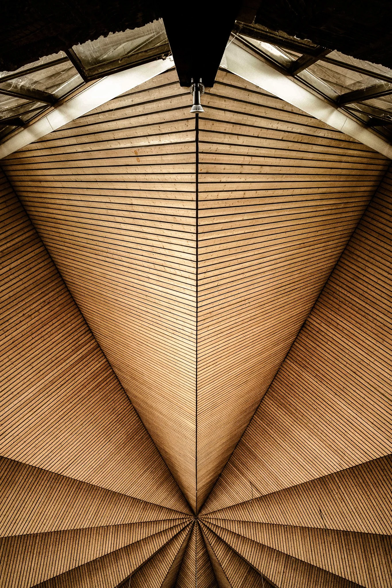 L1100449.jpg