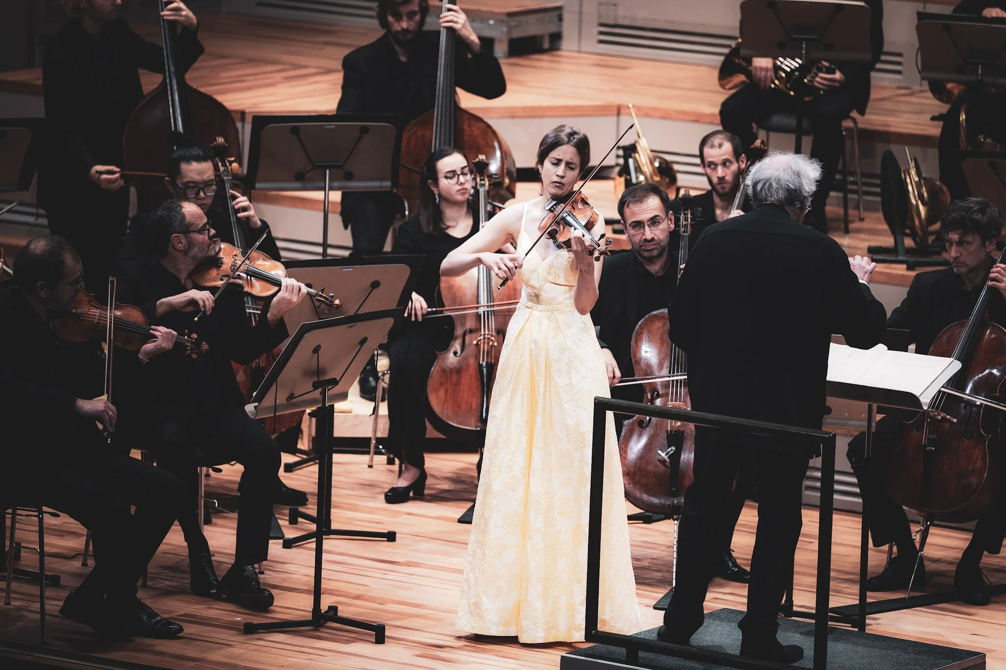 Vilde Frang, Kammerorchester Basel, Philippe Herreweghe. Tonhalle Zürich, Hochuli Konzertreihe