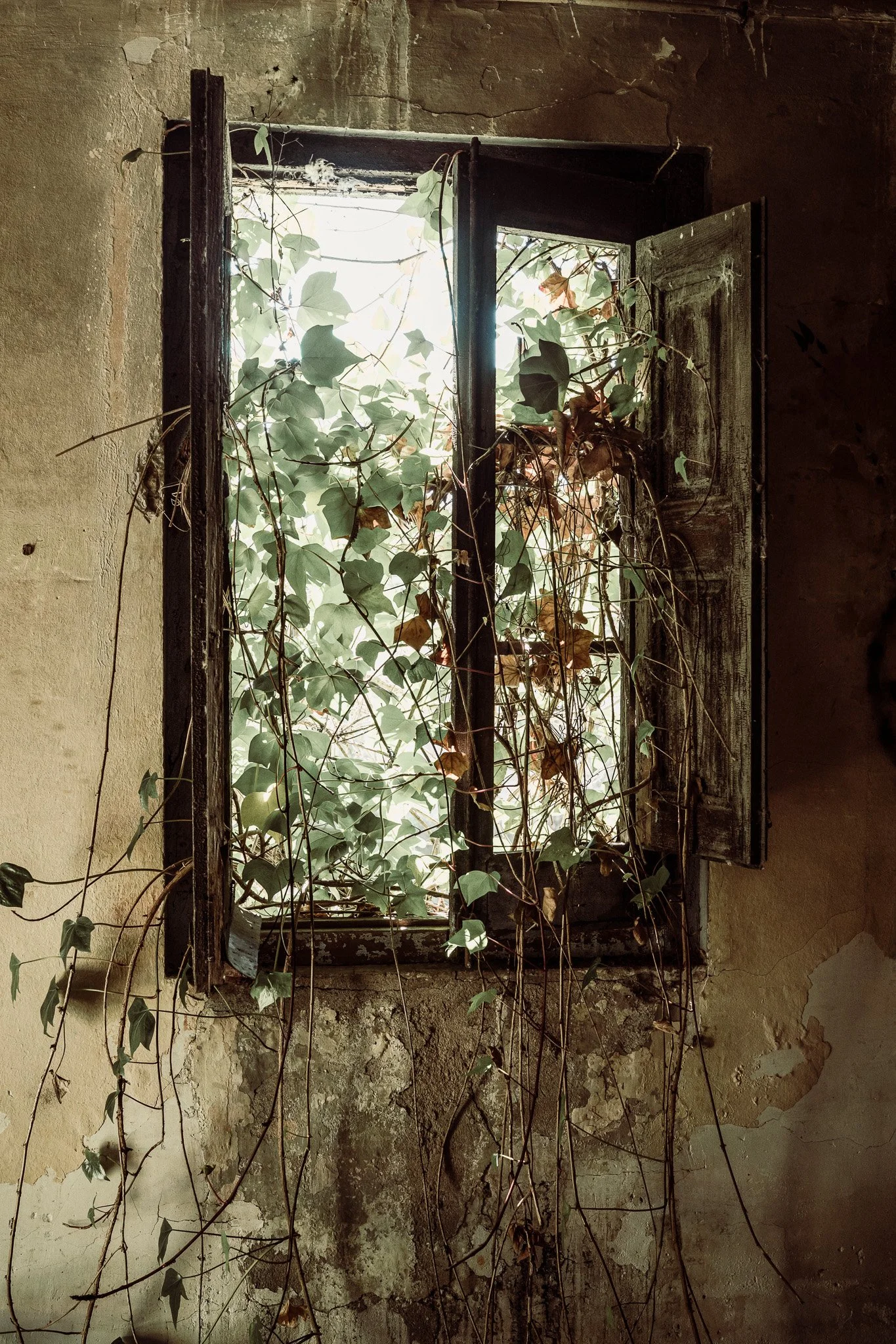 L1080404.jpg