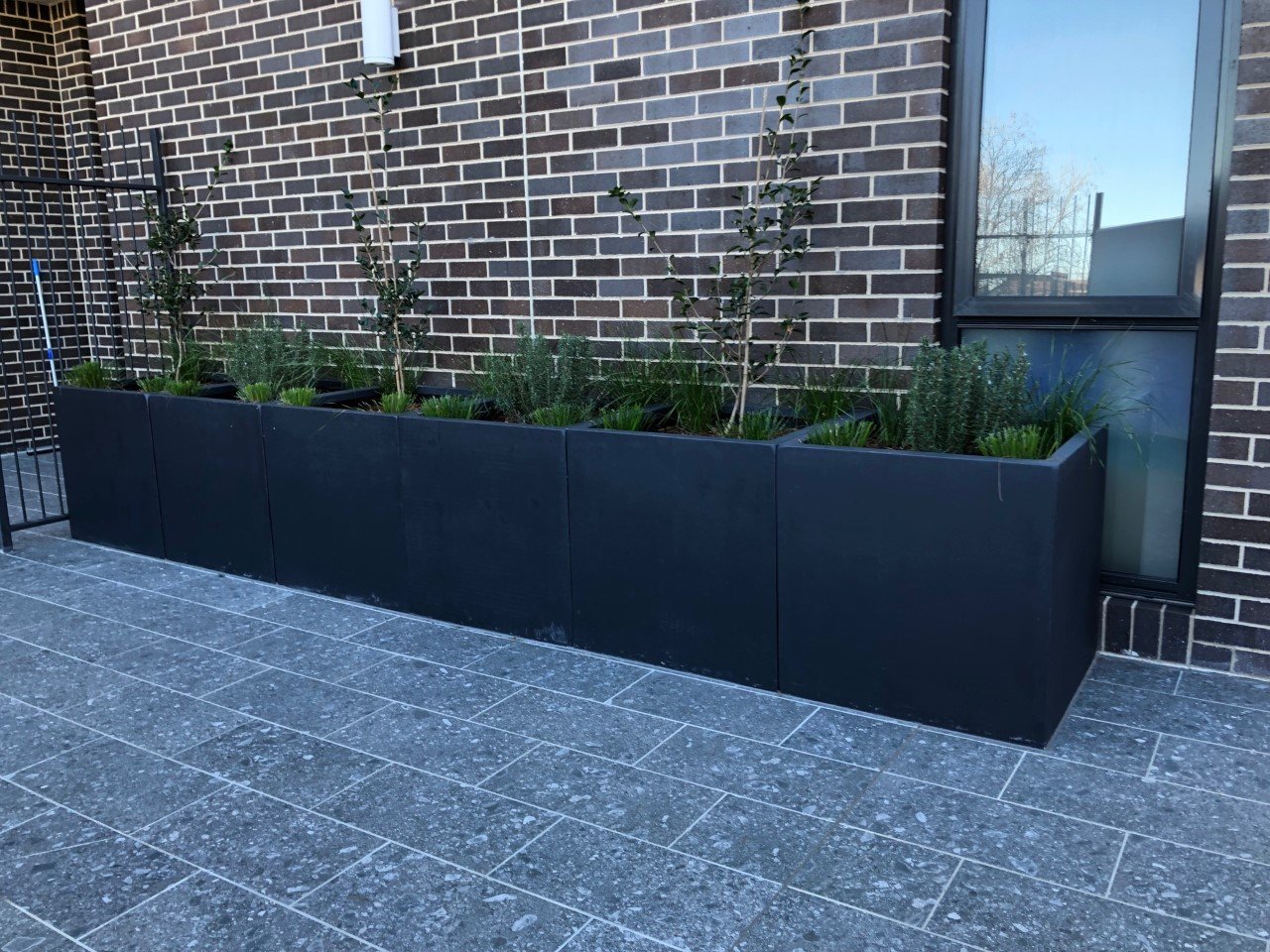 thumbnail_IMG_4371 - Copy.jpg