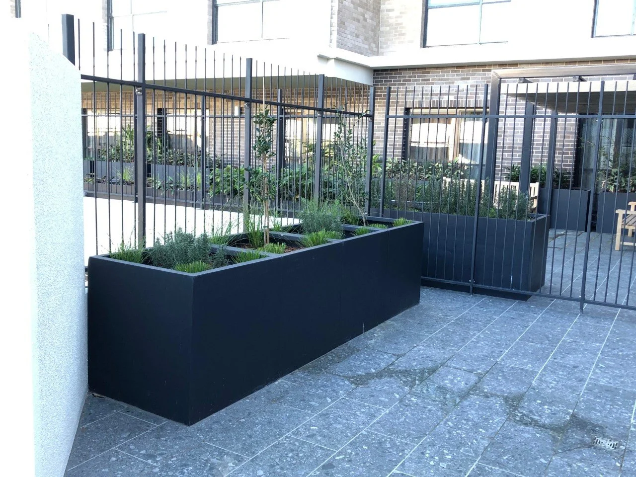 thumbnail_IMG_4373 - Copy.jpg