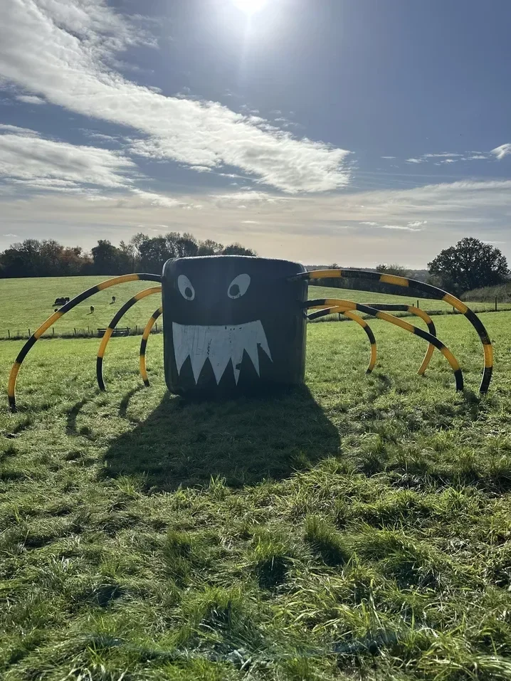hallcourt-farm-pumpkin-picking-berkshire-out-of-focus-sky-768w.webp