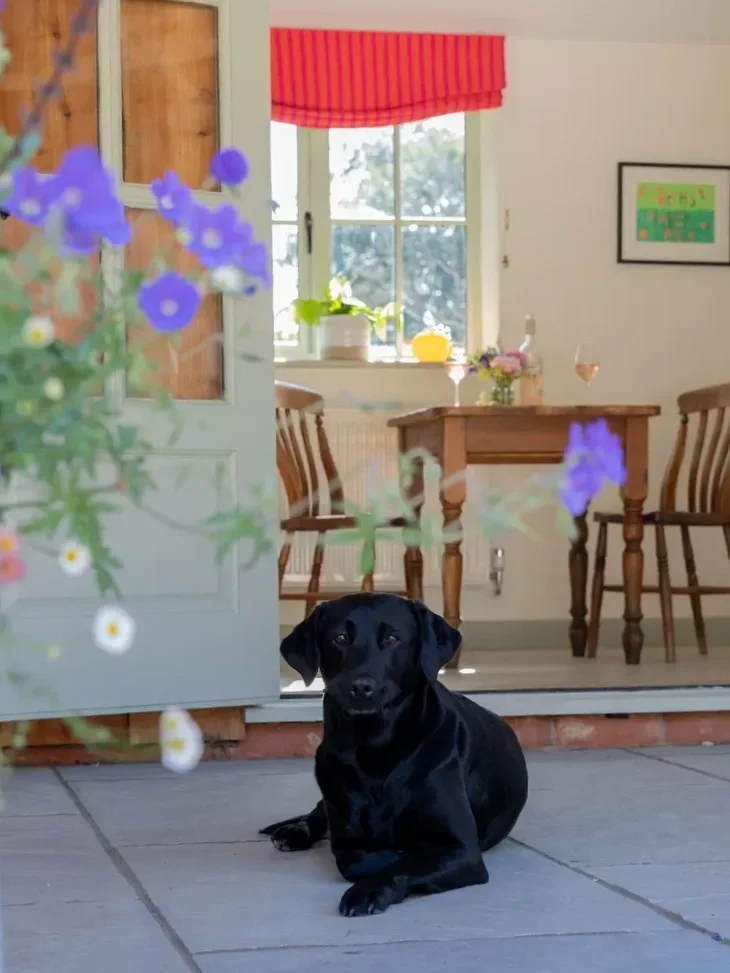 hallcourt-farm-black-labrador-cabin-768w.webp